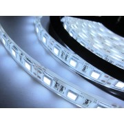 Светодиодная лента 5050/60 (IP67) premium